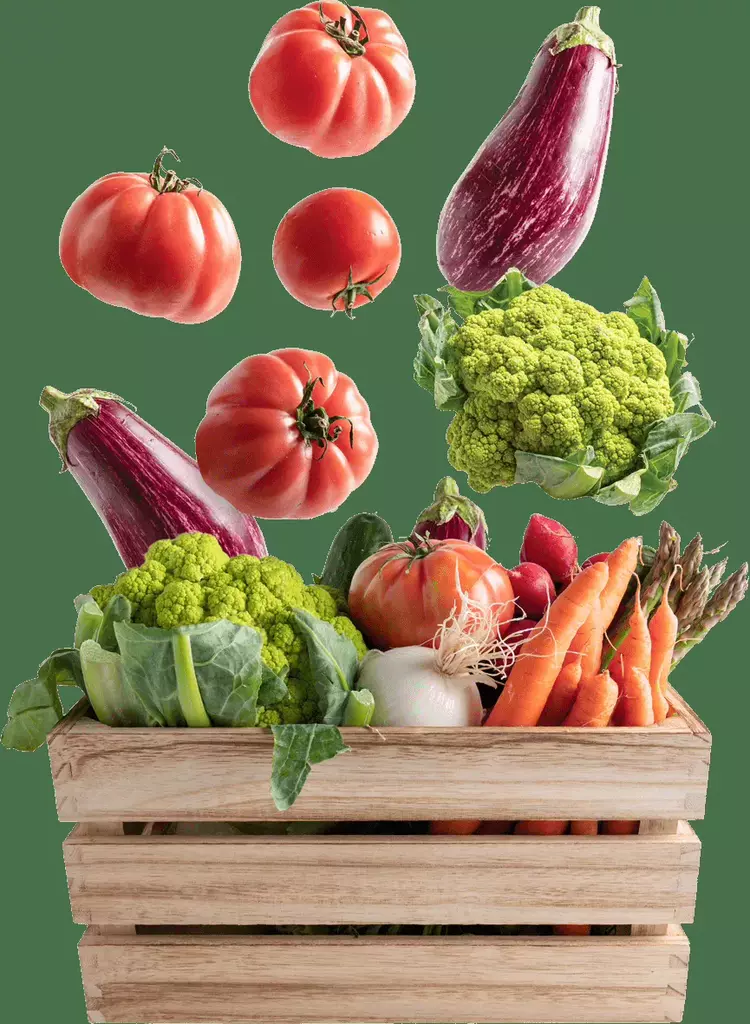 para combos - ofertas - MercoCaribe